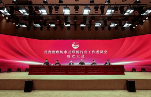 共青團廊坊市互聯(lián)網(wǎng)行業(yè)工作委員會正式成立，為本地企業(yè)網(wǎng)站建設注入青春動能